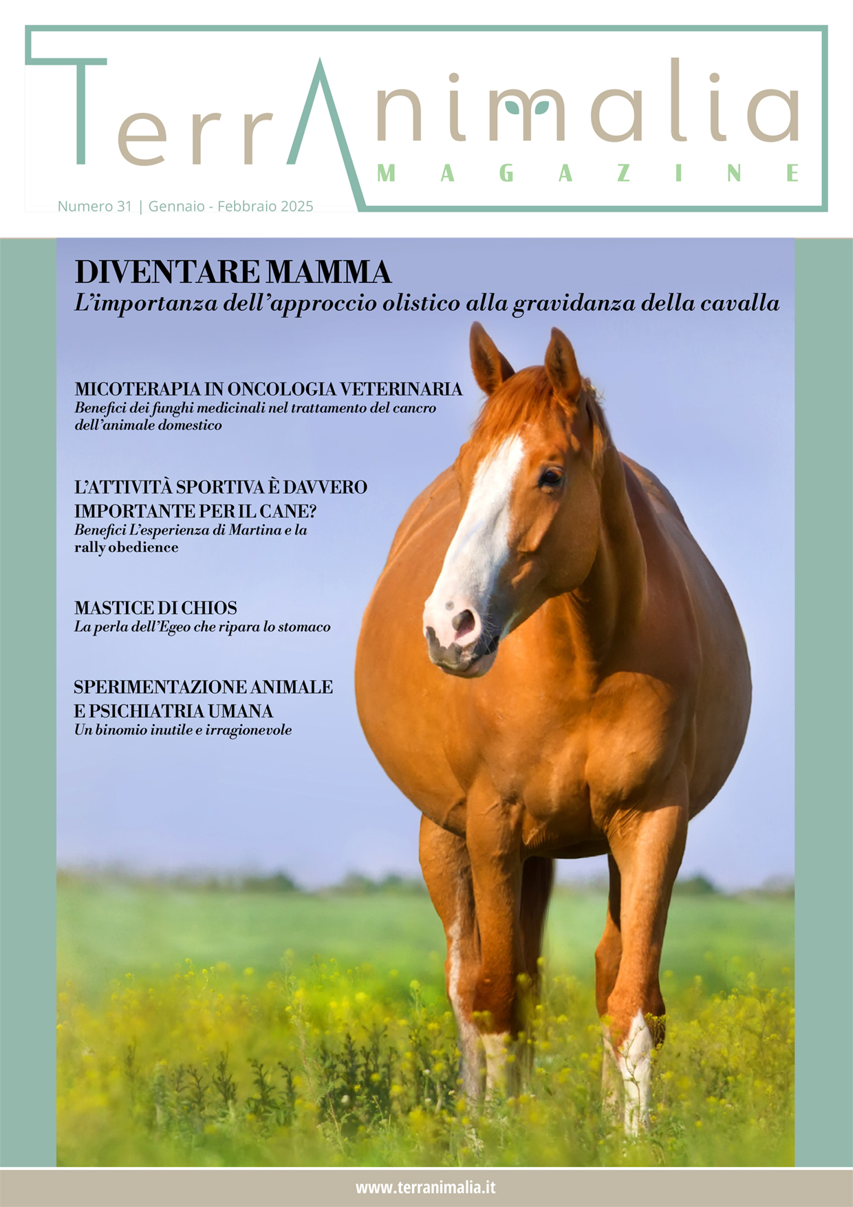 TerrAnimalia 31