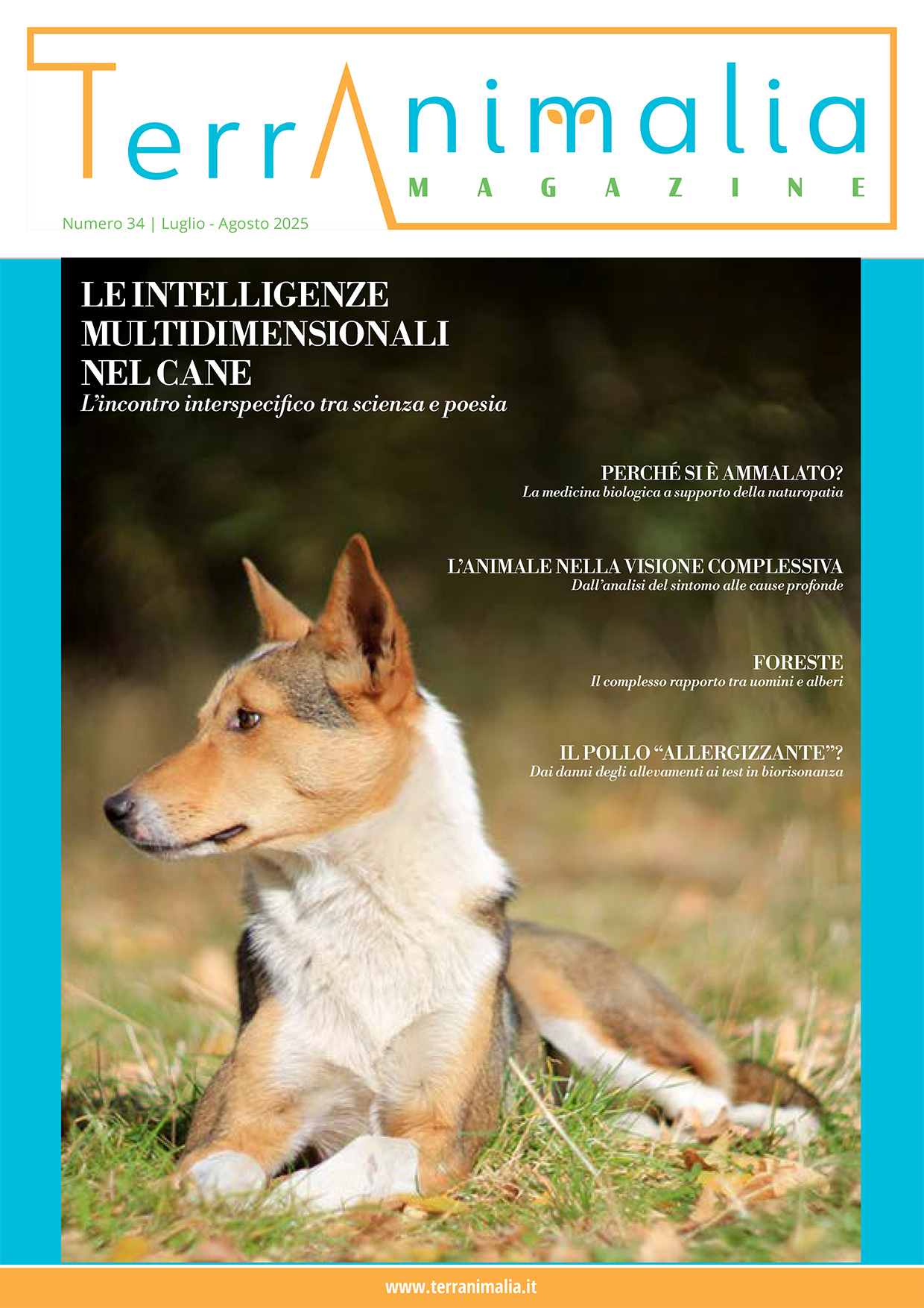 TerrAnimalia 34